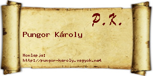 Pungor Károly névjegykártya