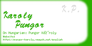 karoly pungor business card